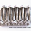 SCAR STIM6X75-01 : Tornillo para el motor SCAR titanio M6x75