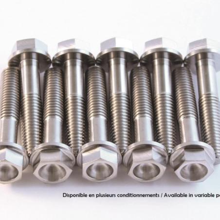 SCAR STIM6X80-01 : Tornillo para el motor SCAR titanio M6x80