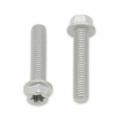 BOLT 024-60630 : Tornillos con cabeza hexagonal/Torx BOLT M6 x 1,00 x 30mm