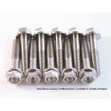 SCAR STIM8X35-01 : Tornillo para el motor SCAR titanio M8x35