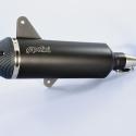 POLINI 190.0077 : POLINI Exhaust Stainless Steel/Carbon - Vespa 300