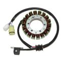 ELECTROSPORT ESG467 : STATOR Yamaha YFM 350 Grizzly/Bruin/Wolverin