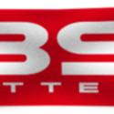 BS BATTERY 900129 : Banner BS BATTERY