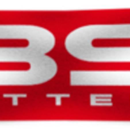 BS BATTERY 900129 : Banner BS BATTERY