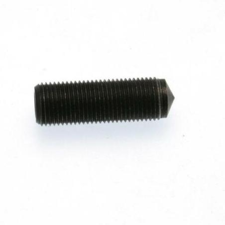 BUZZETTI 6.925.029 : TORNILLO PARA PIN PERFORADO BUZZETTI  PARA 8944988