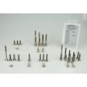 SCAR STIMENGYZ125B : Kit de tornillos de titanio para motor SCAR