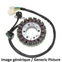 ELECTROSPORT ESG020 : STATOR Suzuki GZ250