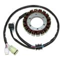 ELECTROSPORT ESG941 : STATOR Yamaha YFM 660F Grizzly