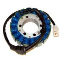 ELECTROSPORT ESG780 : STATOR R6 99-02