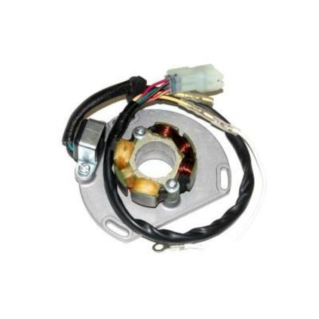 ELECTROSPORT ESL239 : STATOR2 125SX 06-08