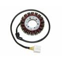 ELECTROSPORT ESG958 : STATOR CBF1000 06-10 ELECTROSPORT ESG958