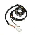 ELECTROSPORT ESL237 : STATOR2 250SX-F 05-09