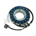 ELECTROSPORT ESG610 : STATOR XVS1100 99-07