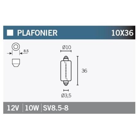 V PARTS SV8.5-8-12V10W : Caja de 10 lámparas SV8.5-8 12V10W