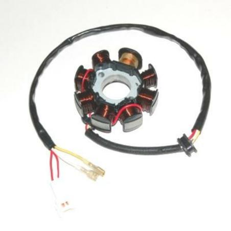 ELECTROSPORT ESG146 : STATOR 250EXC-R 02-05