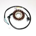 ELECTROSPORT ESG181 : STATOR LTZ400 03-09