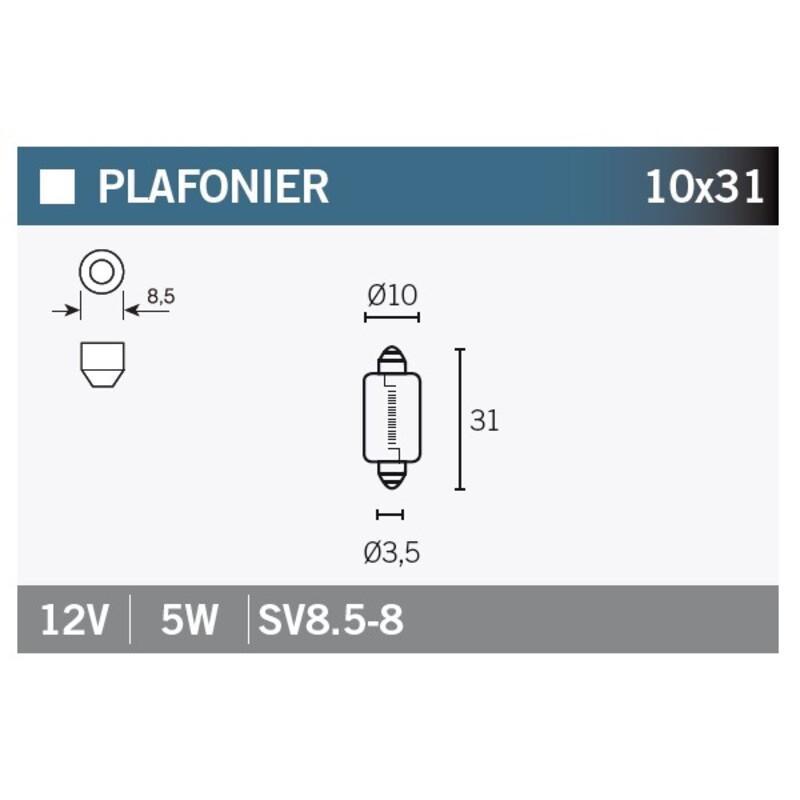 V PARTS SV8.5-8-12VX5W : Caja de 10 lámparas SV8.6-8 12V5W