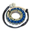 ELECTROSPORT ESG094 : STATOR ZX6R 00-02