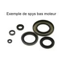 CENTAURO 411A128SR : Kit retenes de motor ROTAX 120 411A128SR