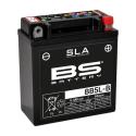 BS BATTERY 300671 : Batería BS BATTERY SLA BB5L-B (FA)