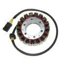 ELECTROSPORT ESG831 : ESG831 Stator BMW F800 (07-12)