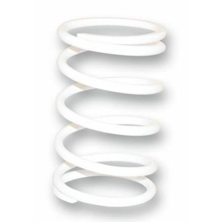 MALOSSI 2915497.W0 : Muelle contraste embrague Malossi reforzado blanco BMW C600 / C650GT 2915497.W0