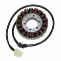 Stator bobina alternador