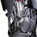 PUIG 6560 : Protectores de Motor R19