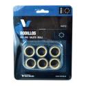 Rodillos Variador Carbono 20x14.5-12g