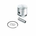 piston para cilindro AIRSAL (060840399)