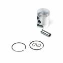 piston para cilindro AIRSAL (061313403)