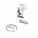 piston para cilindro AIRSAL (06071140)