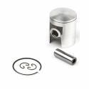 piston para cilindro AIRSAL (06080244)