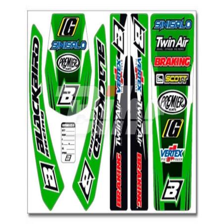 Kit Adhesivos Standard Kawasaki Blackbir