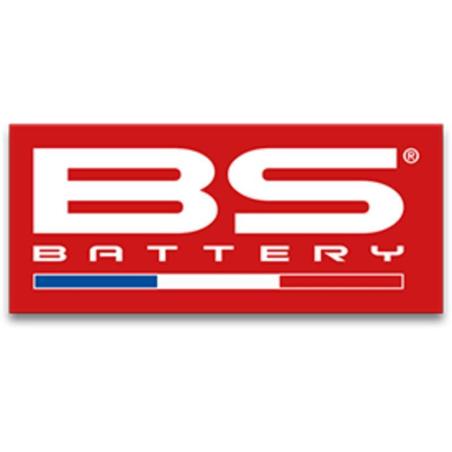 BS BATTERY 900050 : Adhesivo BS BATTERY rojo tamaño pequeño bandera francesa - 50 unidades