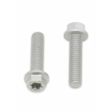 BOLT 024-60625 : Tornillos con cabeza hexagonal/Torx BOLT M6 x 1,00 x 25mm