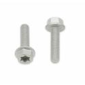 BOLT 024-50520 : Tornillos con cabeza hexagonal largo/Torx BOLT M5 x 0,8 x 20mm