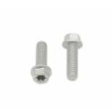 BOLT 024-60620 : Tornillos con cabeza hexagonal/Torx BOLT M6 x 1,00 x 20mm