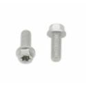 BOLT 024-60616 : Tornillos con cabeza hexagonal largo/Torx BOLT M6 x 1,00 x 16mm