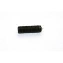 BUZZETTI 6.925.029 : TORNILLO PARA PIN PERFORADO BUZZETTI  PARA 8944988